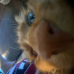 Meet your Posher, Kailyn